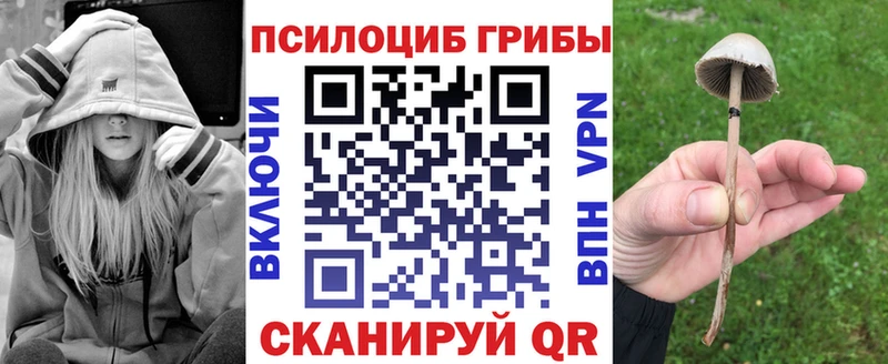 гидра зеркало  нарко площадка Telegram  Псилоцибиновые грибы ЛСД  Афипский 